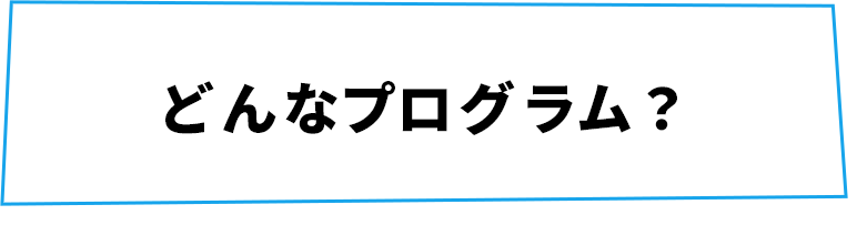 どんなプログラム?