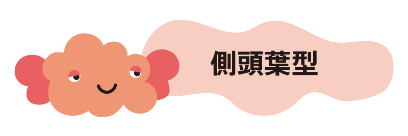 側頭葉タイプ