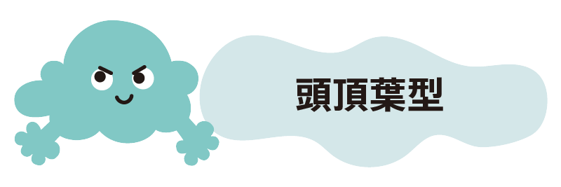頭頂葉タイプ