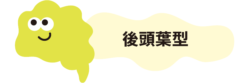 後頭葉タイプ