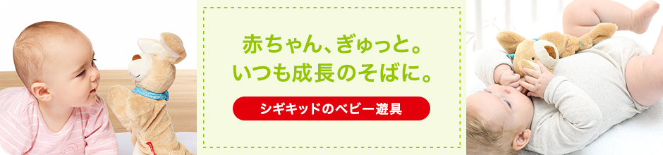 シギキッド社のあそび道具