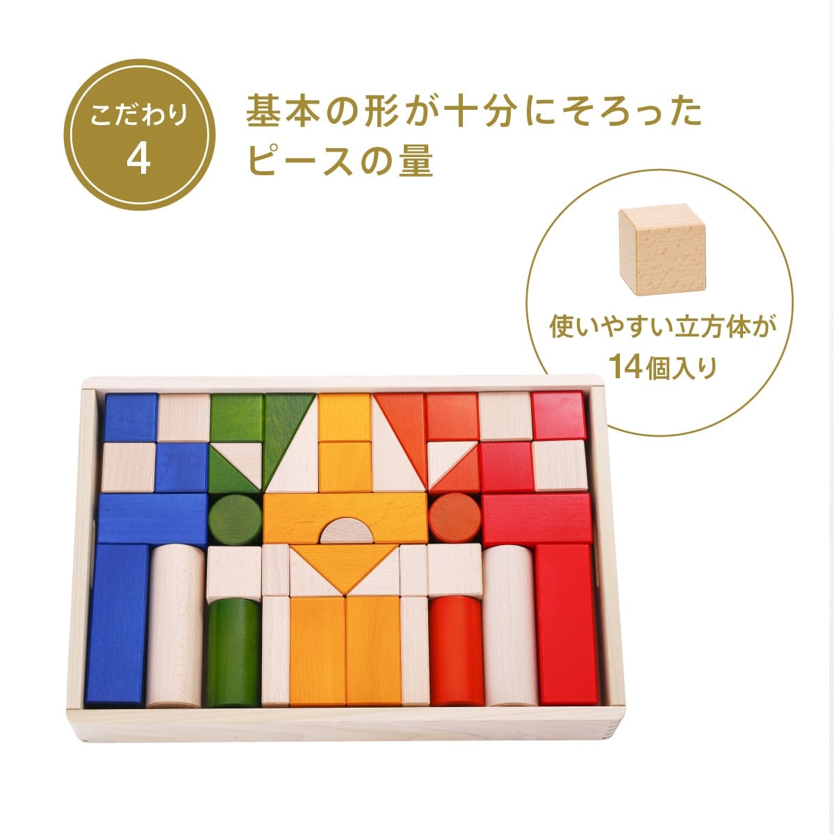 XEC2024-